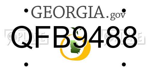 QFB9488 Georgia License Plate