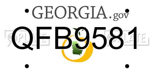 QFB9581 Georgia License Plate