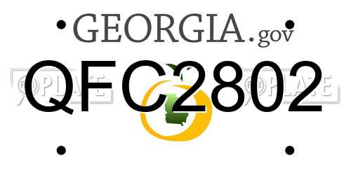 QFC2802 Georgia License Plate