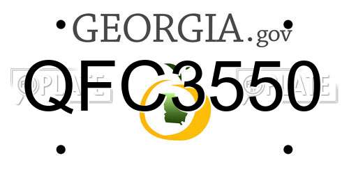 QFC3550 Georgia License Plate
