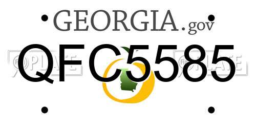 QFC5585 Georgia License Plate