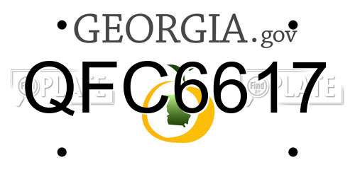QFC6617 Georgia License Plate