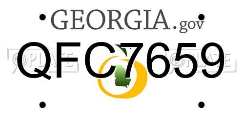 QFC7659 Georgia License Plate