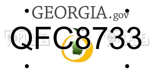 QFC8733 Georgia License Plate