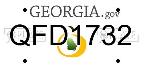 QFD1732 Georgia License Plate
