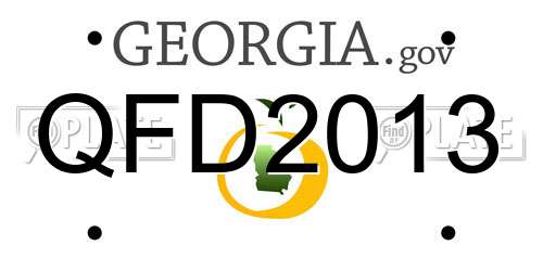 QFD2013 Georgia License Plate