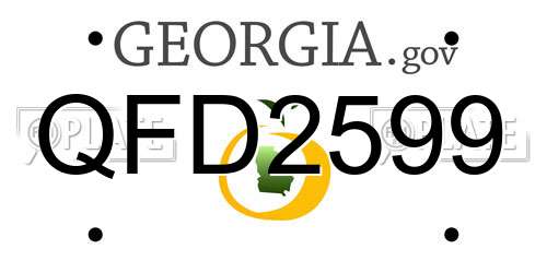 QFD2599 Georgia License Plate