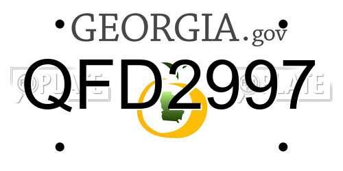 QFD2997 Georgia License Plate