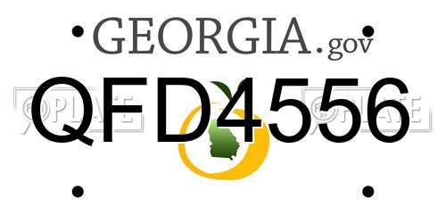 QFD4556 Georgia License Plate