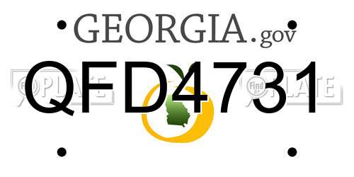 QFD4731 Georgia License Plate
