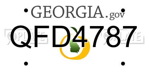 QFD4787 Georgia License Plate