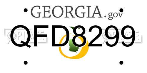 QFD8299 Georgia License Plate