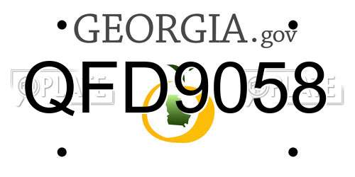 QFD9058 Georgia License Plate