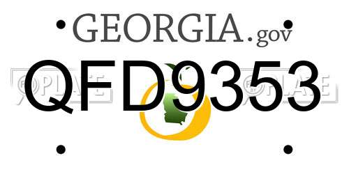 QFD9353 Georgia License Plate