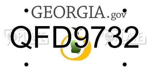 QFD9732 Georgia License Plate
