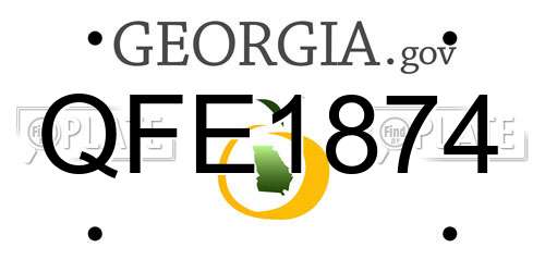 QFE1874 Georgia License Plate
