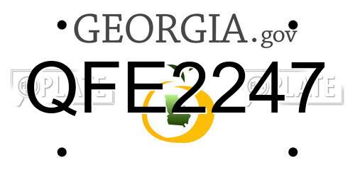QFE2247 Georgia License Plate