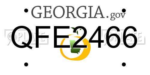 QFE2466 Georgia License Plate