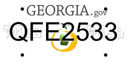 QFE2533 Georgia License Plate