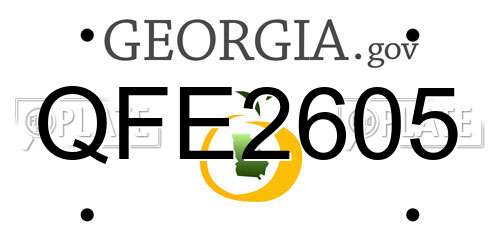 QFE2605 Georgia License Plate
