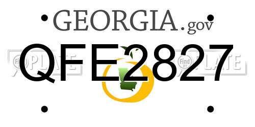 QFE2827 Georgia License Plate