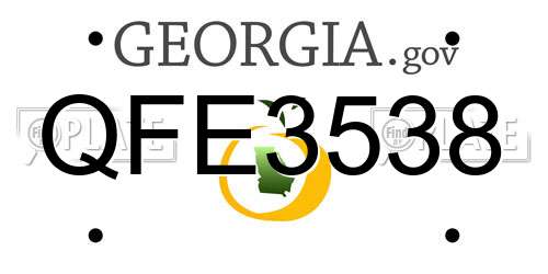 QFE3538 Georgia License Plate