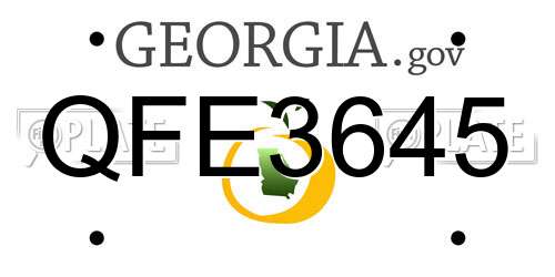 QFE3645 Georgia License Plate
