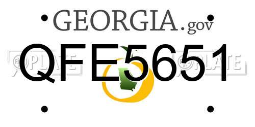 QFE5651 Georgia License Plate