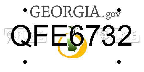 QFE6732 Georgia License Plate