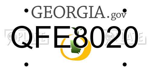 QFE8020 Georgia License Plate