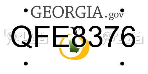 QFE8376 Georgia License Plate