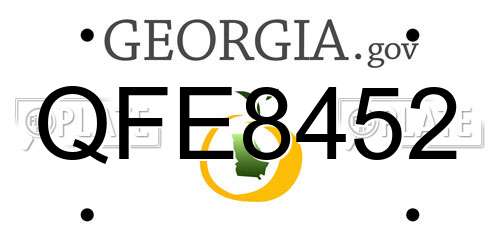 QFE8452 Georgia License Plate