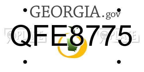 QFE8775 Georgia License Plate