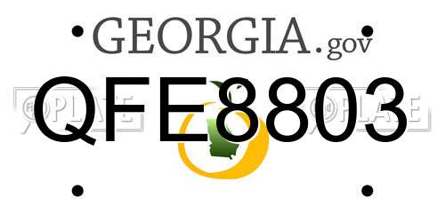 QFE8803 Georgia License Plate