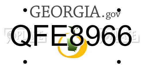 QFE8966 Georgia License Plate