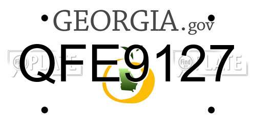 QFE9127 Georgia License Plate