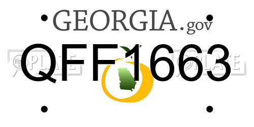 QFF1663 Georgia License Plate
