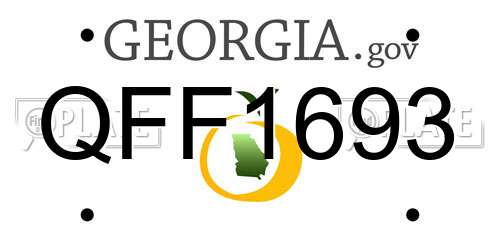 QFF1693 Georgia License Plate