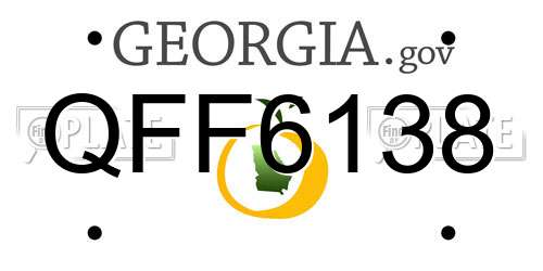 QFF6138 Georgia License Plate