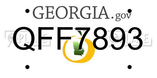 QFF7893 Georgia License Plate