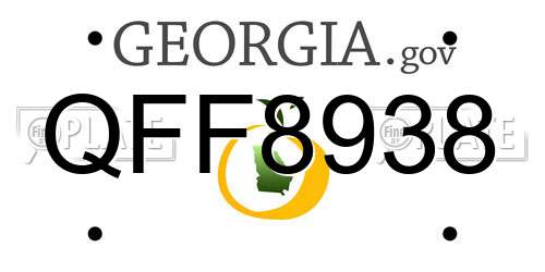 QFF8938 Georgia License Plate