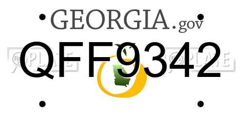 QFF9342 Georgia License Plate