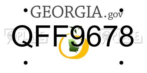 QFF9678 Georgia License Plate