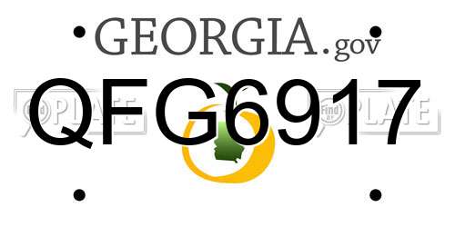 QFG6917 Georgia License Plate