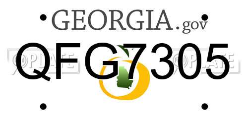 QFG7305 Georgia License Plate