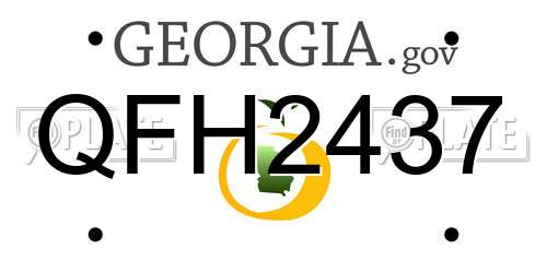 QFH2437 Georgia License Plate