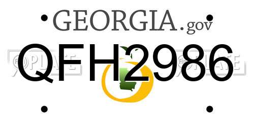 QFH2986 Georgia License Plate