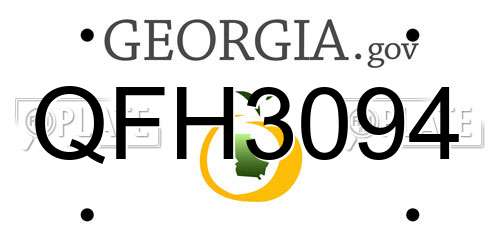 QFH3094 Georgia License Plate