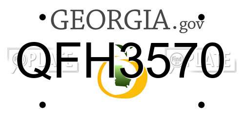 QFH3570 Georgia License Plate