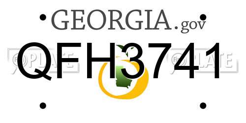 QFH3741 Georgia License Plate